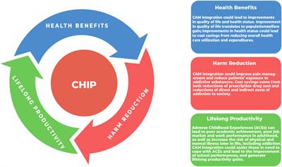 Economic evaluation of acupuncture in treating patients with pain and mental health concerns: the results of the Alberta Complementary Health Integration Project